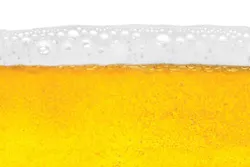 65e745d4a9f492001e1c04dc Beerfroth 65e745d4a9f492001e1c04dc Beerfroth