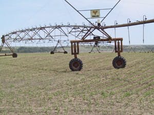 65e746441f04ab001e1daa23 Wqp June Sssa2