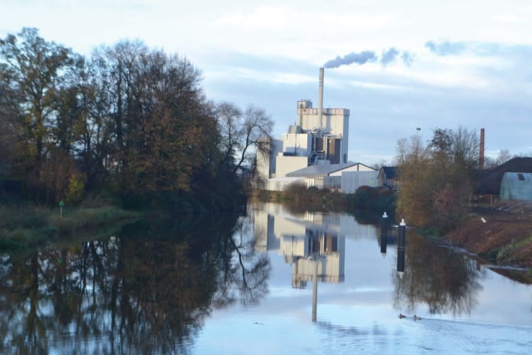 65e746641f04ab001e1daa61 Te White1