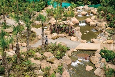 65e74749a9f492001e1c06f2 Laprimaveraurbana 2