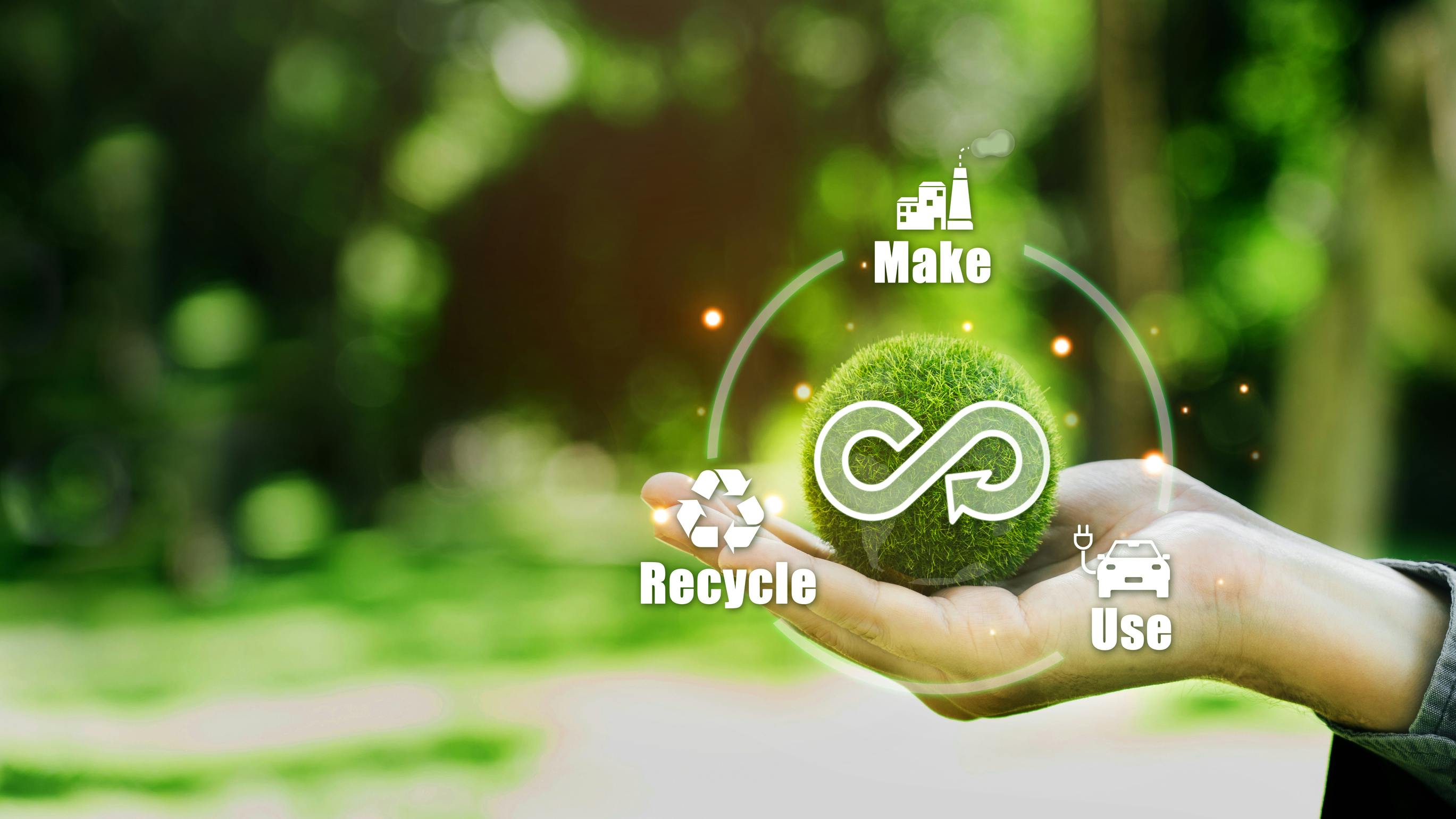 dreamstime_l_305606819