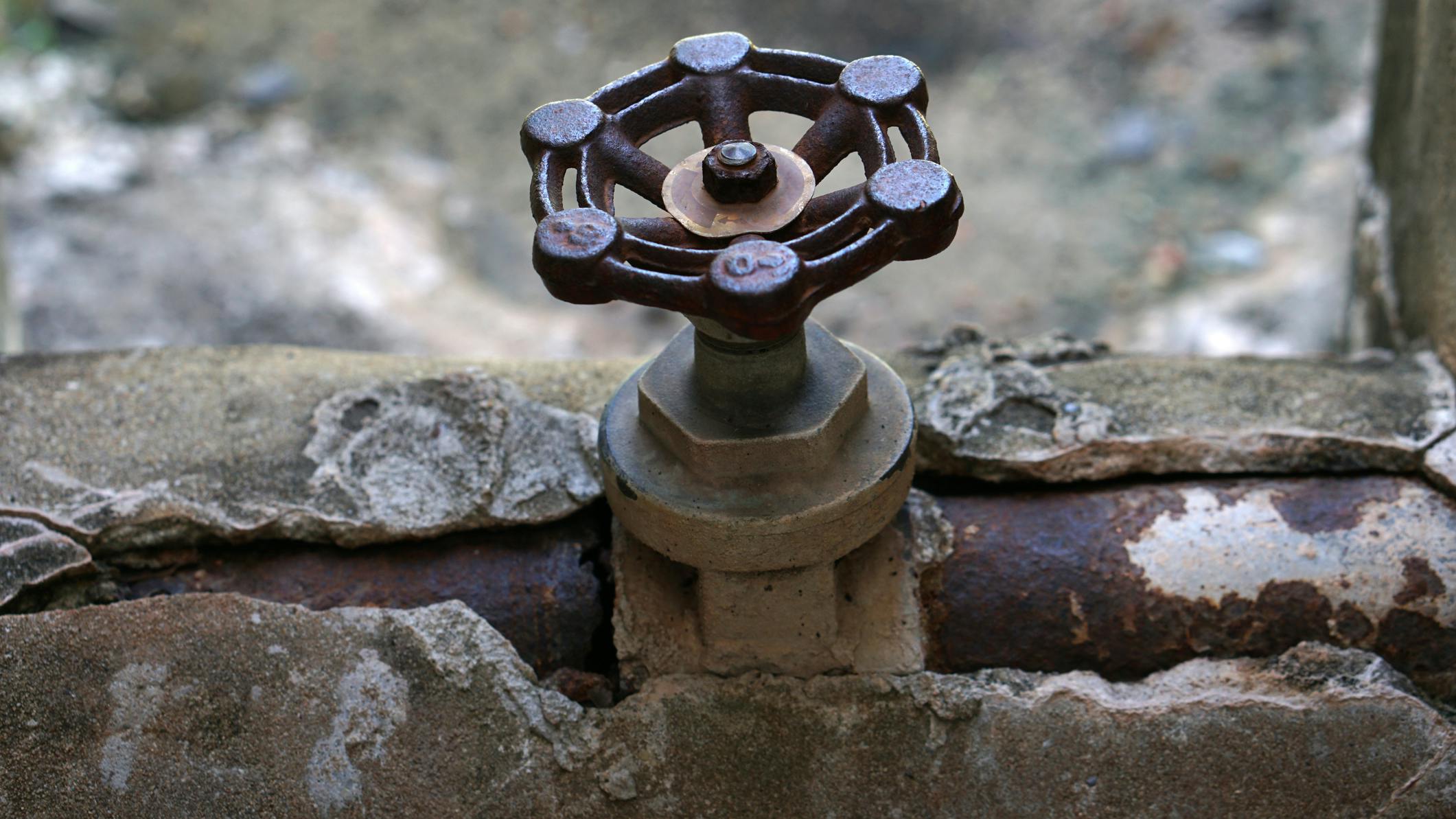 dreamstime_m_186606775