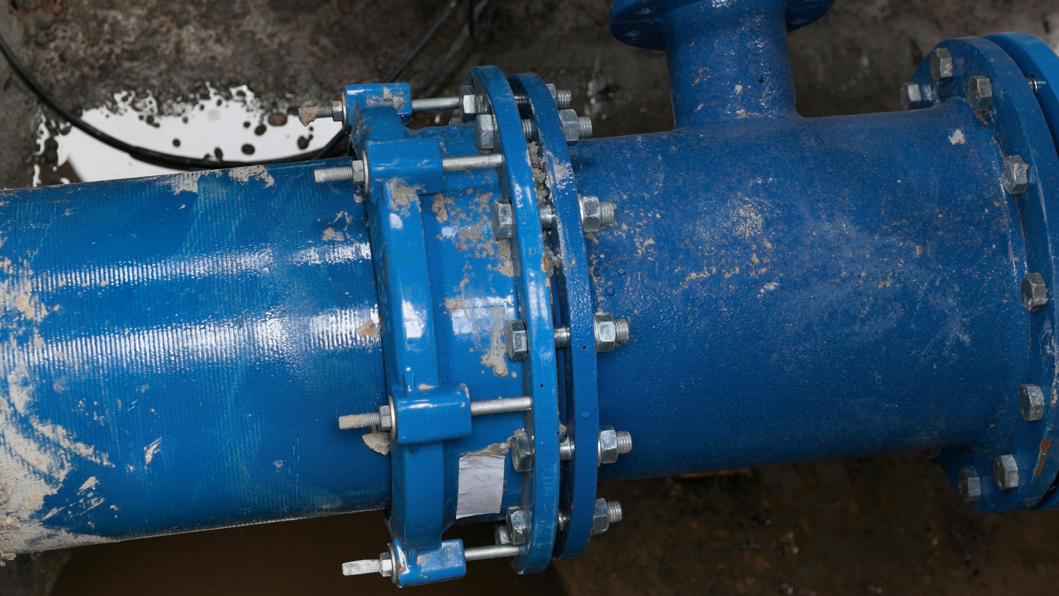 66e4503e42dc62012a657426 Dreamstime M 172605273