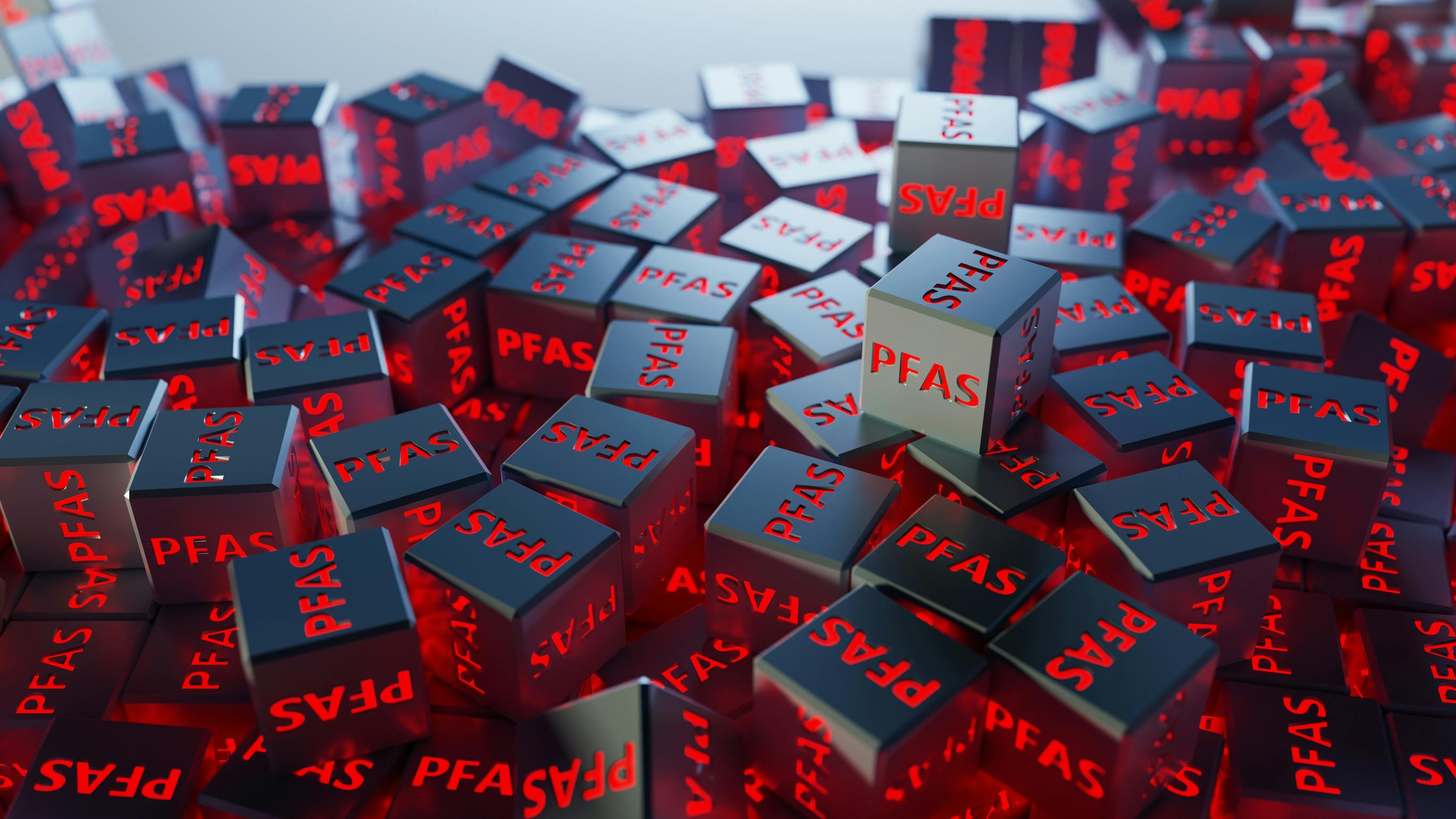 67fd316dd95cb8625cf2a3b4 Dreamstime L 299546428