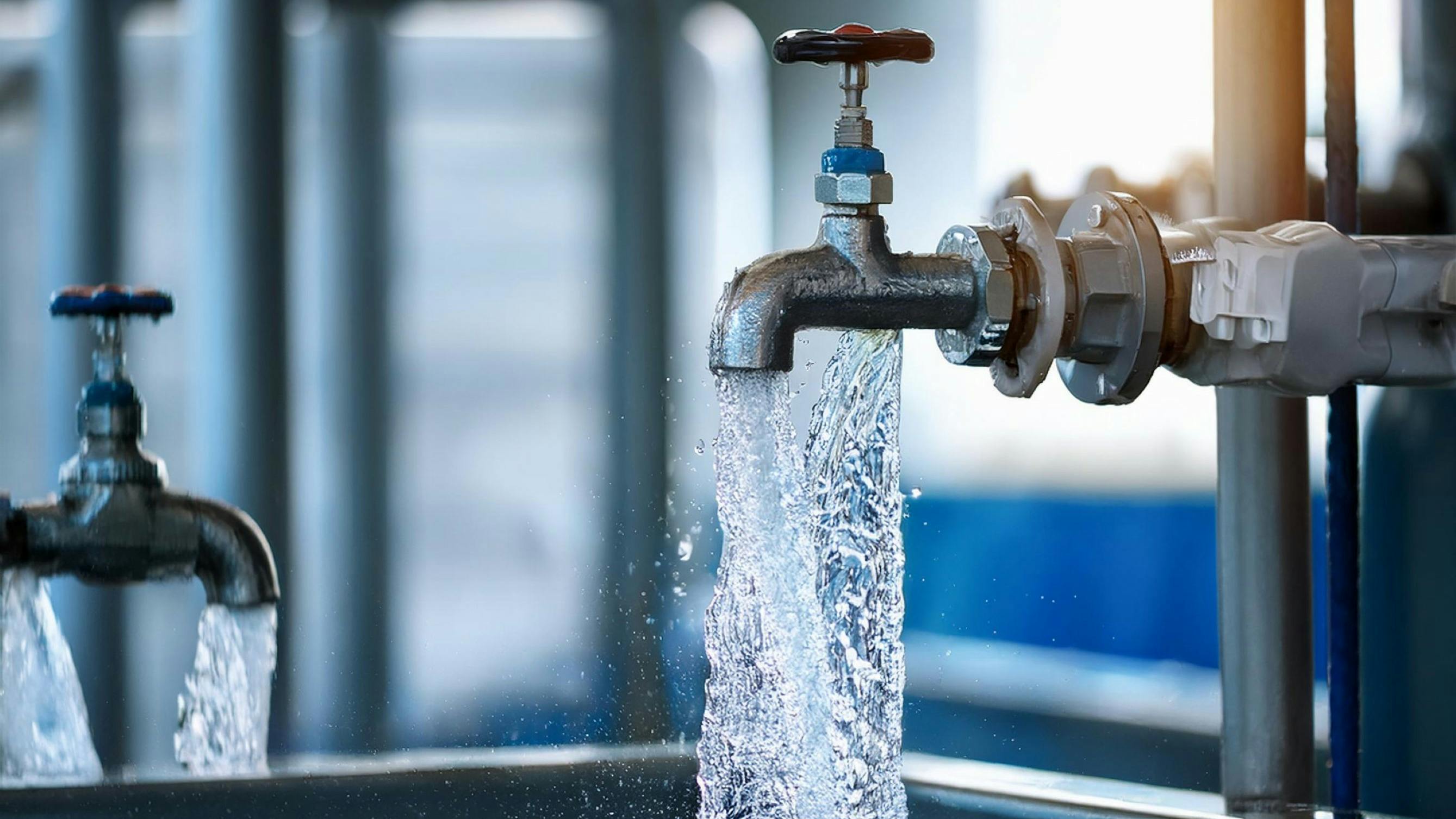 6871549e835aa6620ab9cff4 Adobestock 1164647785