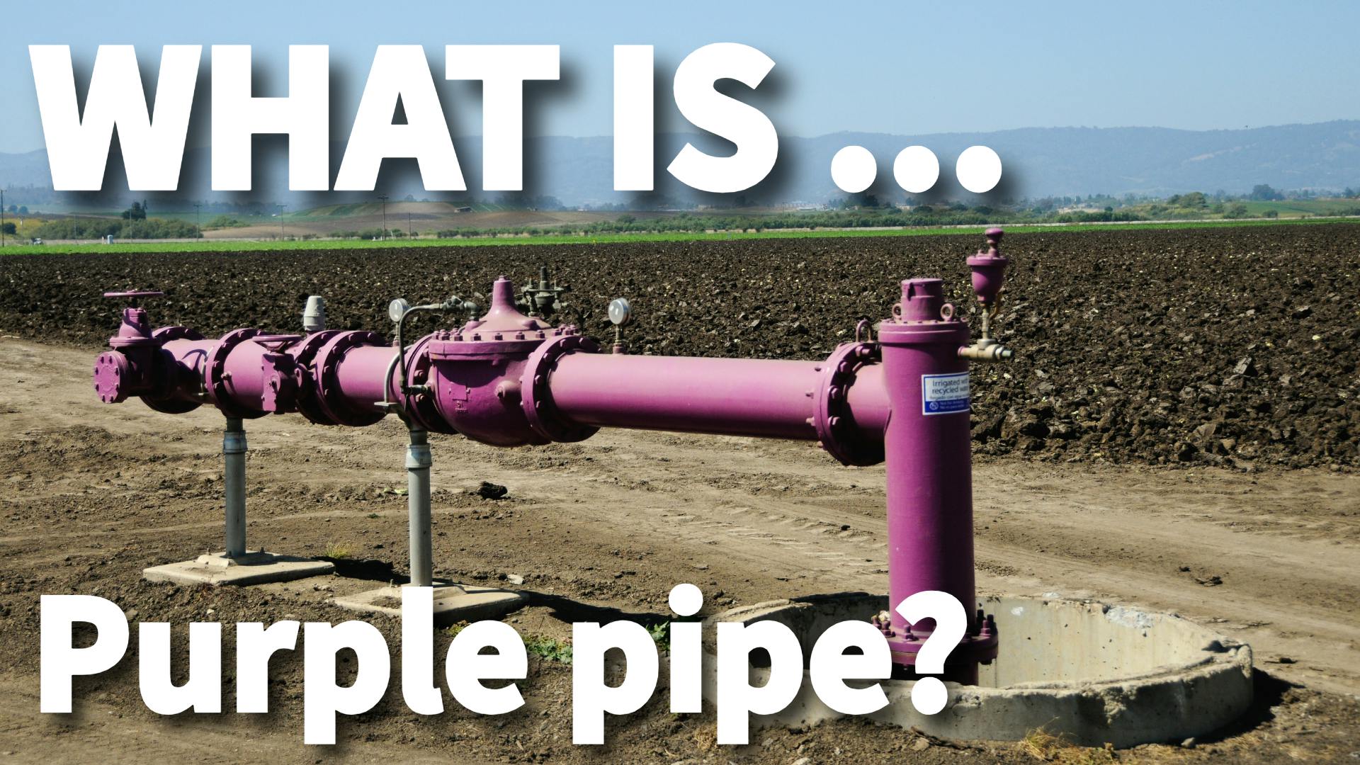 What is purple pipe?