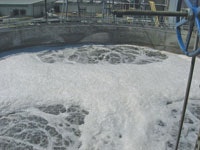 1655240228551 Sieiep 003