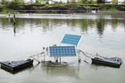 1655240230344 Product 1655240230344 Product