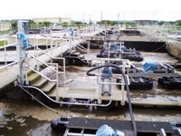 1655240231761 Tritonstaugustine2