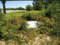 1655240234394 Blown Off Hydrant At Almonaster Jourdan