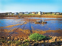 Photo 1 Lonsdale_edit