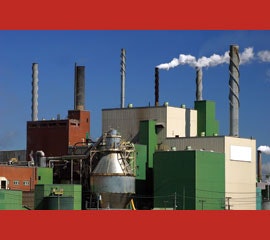 1655240283520 Paperfactorycopy