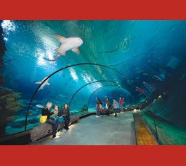 XY_Rotterdam-Zoo-Oceanium-1-copy