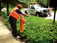 1655240323477 Img 0010 Copy