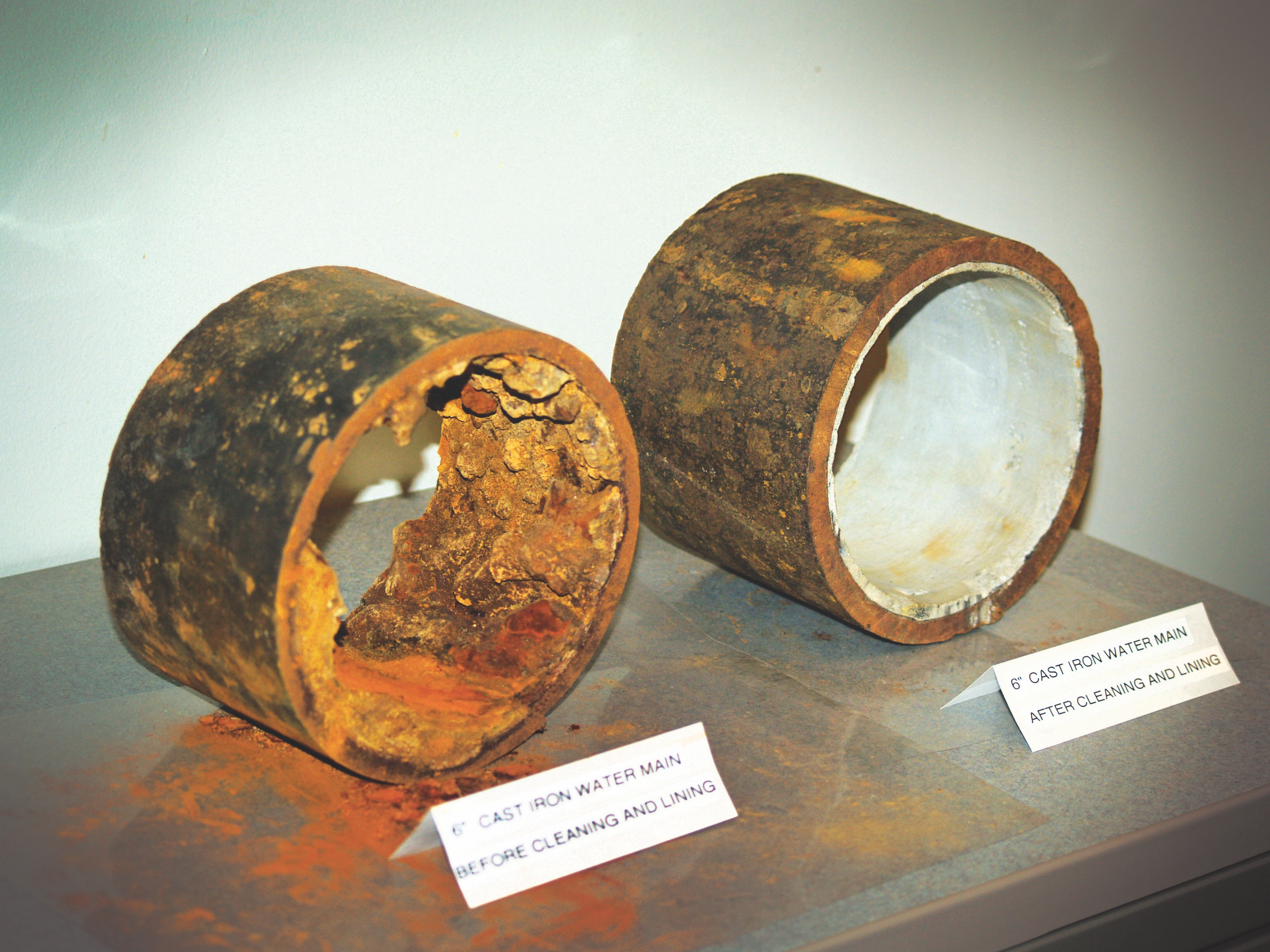 1655240347097 Tuberculatedpipephoto