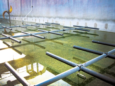 1655240371145 Img 2691