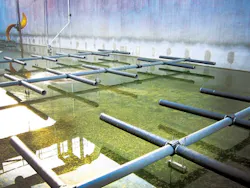 1655240371145 Img 2691 1655240371145 Img 2691