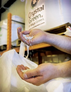 1655240391787 Saskatoon Cg In Hands Edit2