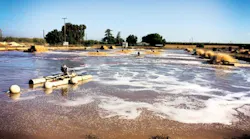 IMG_7063_edit2 IMG_7063_edit2