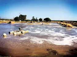 1655240396163 Img 7063 Edit2 1655240396163 Img 7063 Edit2