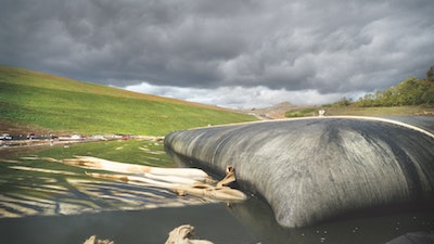 1655240416564 Geotube Mpw Coal Ash Pond Remediation 0