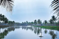 1655240418495 Photo2moriarticlepond 1655240418495 Photo2moriarticlepond