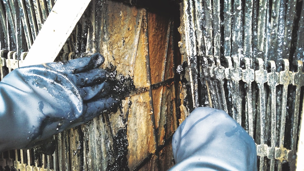 1655240437711 Figure 7