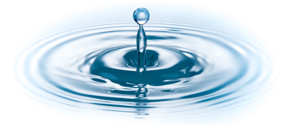 1655240441313 Adobestock 56579225 Copy