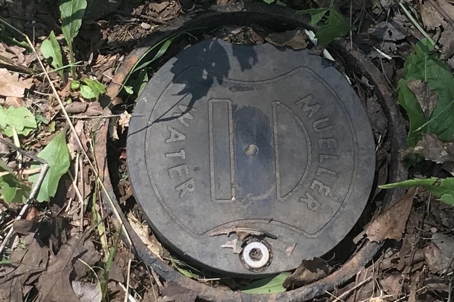 mueller-monitoring-1-091018