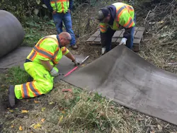 Cut%20CC_0 Cut%20CC_0