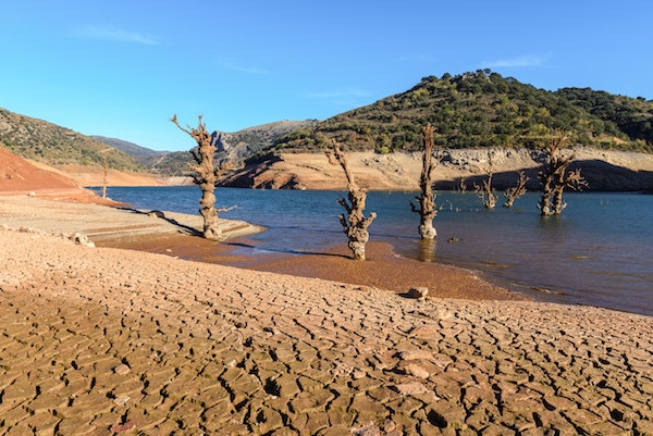 AdobeStock_213793433