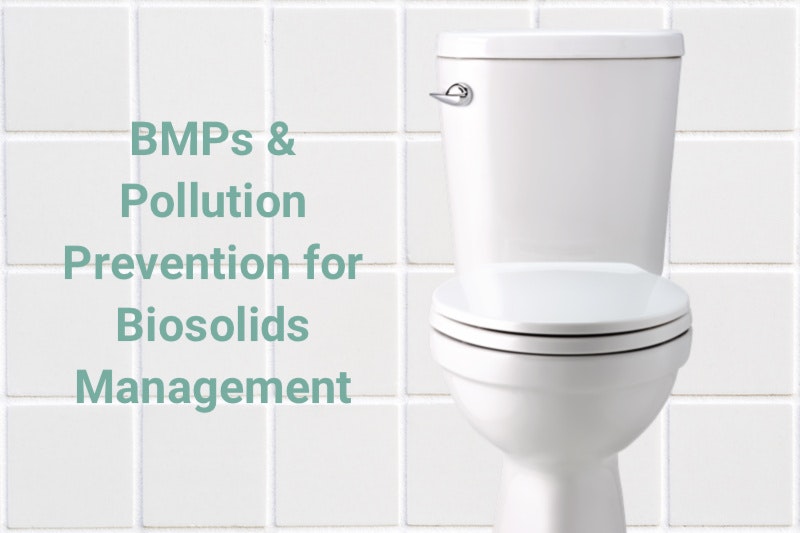 AdobeStock_249400944 copy