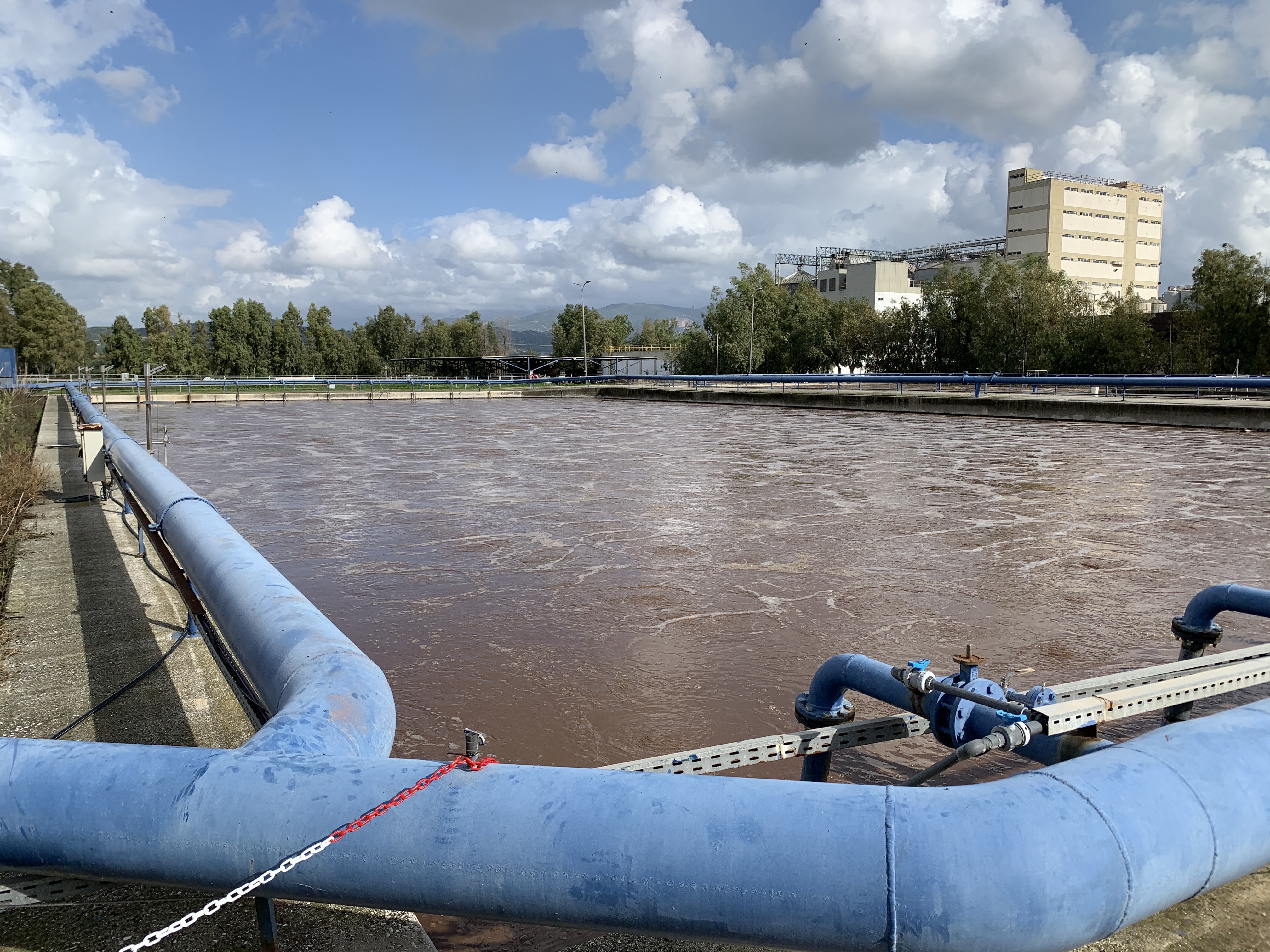 1655240538700 Drive Sensor