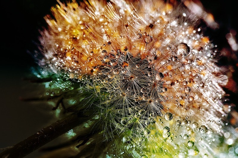 1655240544731 Young Pros