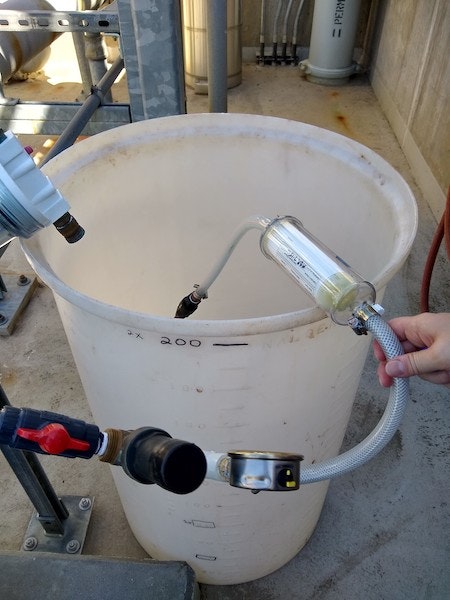 viruses and protozoa