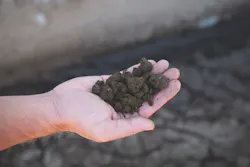 Solids%20from%20Centrifuge Solids%20from%20Centrifuge