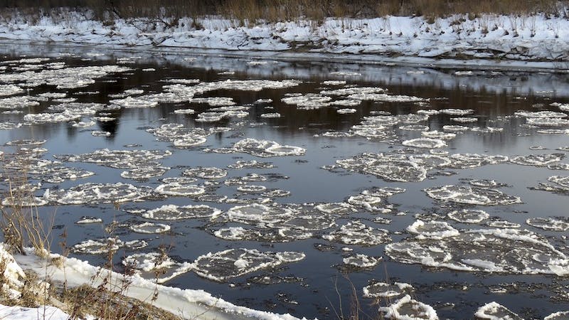 1655240564836 Activated Sludge