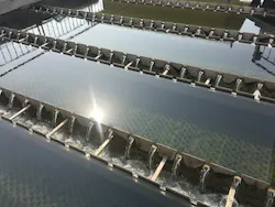 924453682-Heavy%20Metals%20Removal-min 924453682-Heavy%20Metals%20Removal-min