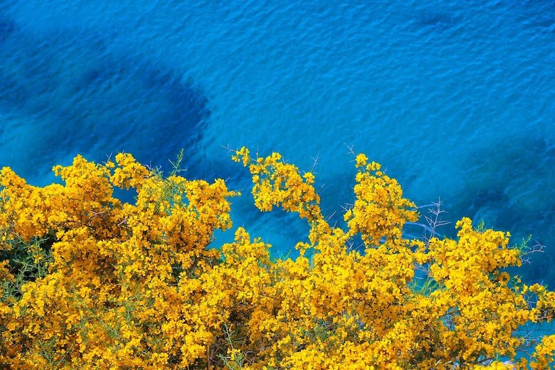 1655240613400 Whatispfasforeverchemicalsdrinkingwatercontamination