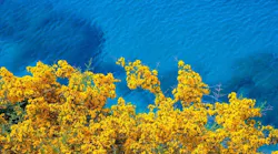 what-is-pfas-forever-chemicals-drinking-water-contamination what-is-pfas-forever-chemicals-drinking-water-contamination