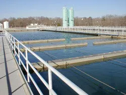 1655326328848 Jackson1s 1655326328848 Jackson1s