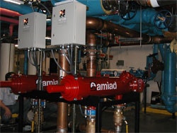 1655326330017 Untitled1250