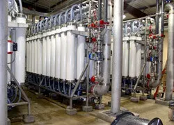 1655326331381 Wwd2501 1655326331381 Wwd2501