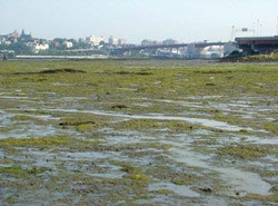 1655326334437 Pic1 Rs2