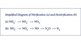 1655326349908 Nitridiagram2501