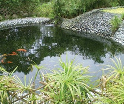 1655326362125 Reusing Rs