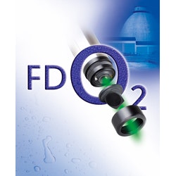 1655326371627 Wtw Web