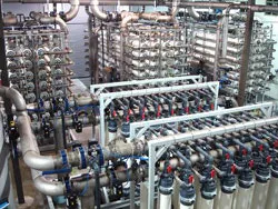 1655326375787 Uf1rs 1655326375787 Uf1rs