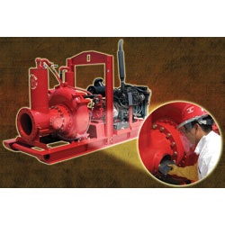 1655326376540 Griffin