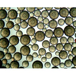 1655326382011 Puroliteweb